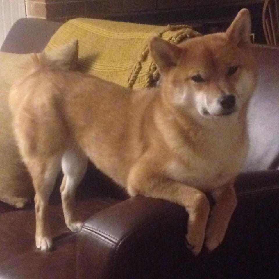 全国青少年“篮动未来”挑战赛在南京掀起新潮流,篮动中国2020