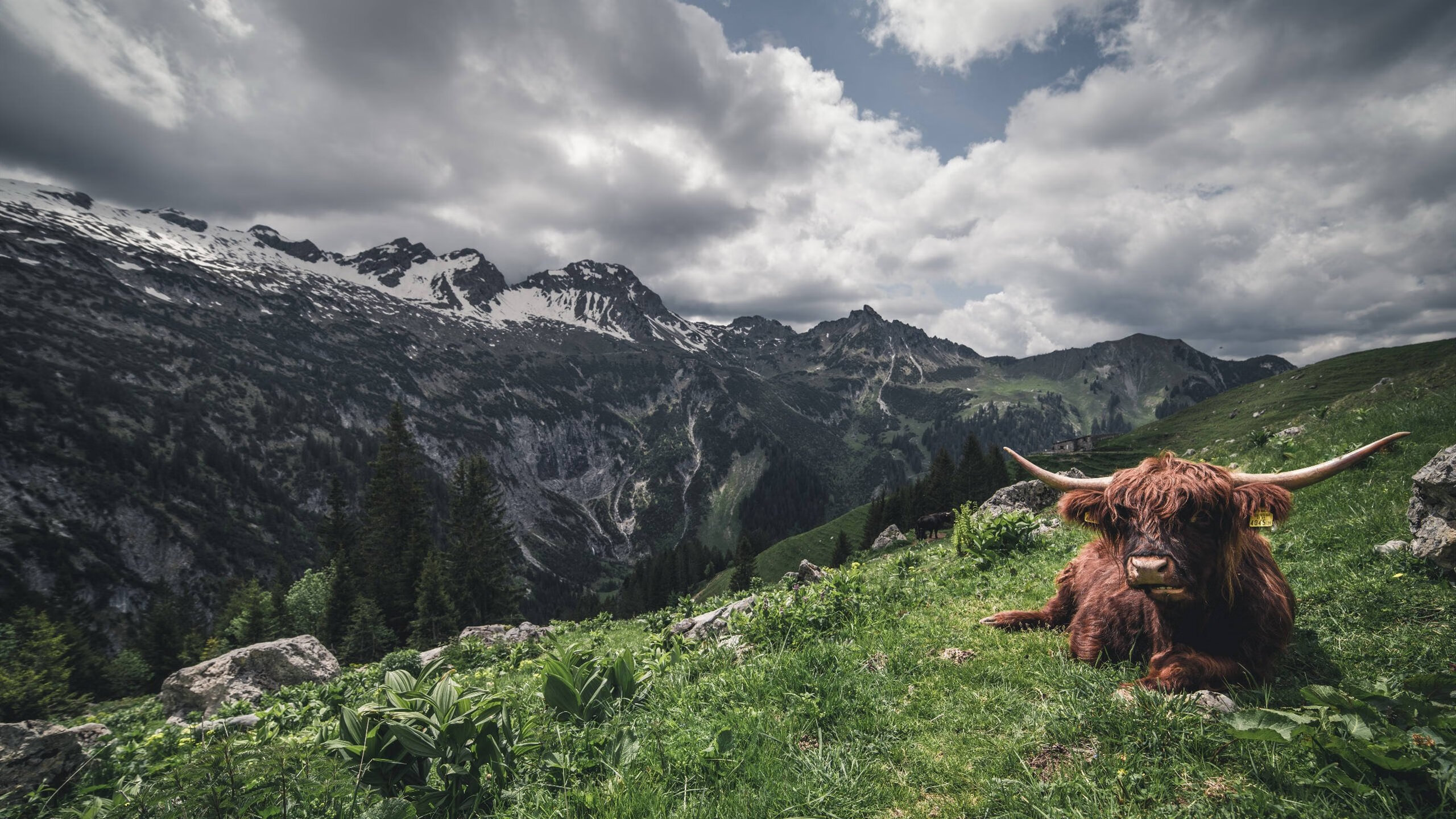 开云体育在线赛事直播-墨西哥队前锋洛佩斯在巴黎奥运会上表现出色，墨西哥女演员佩罗妮